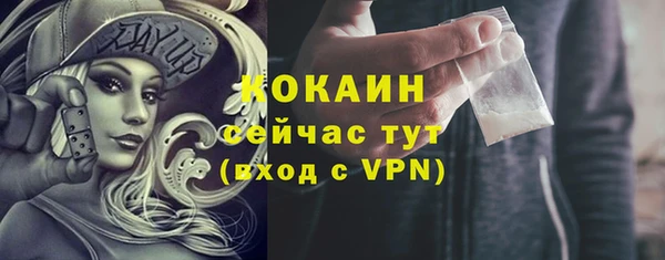 мдпв Анива