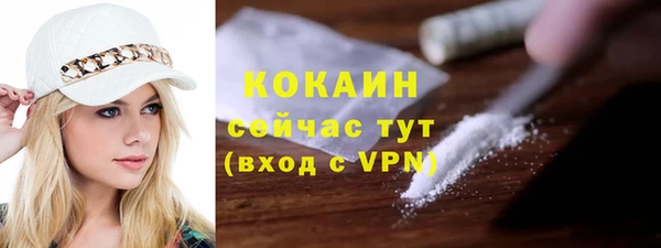 гидра Белокуриха