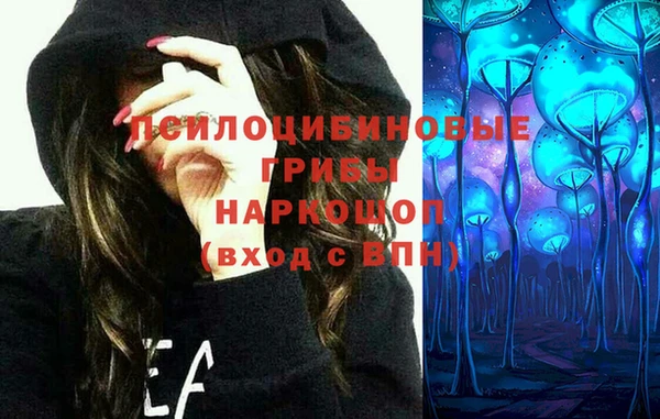 гидра Белокуриха