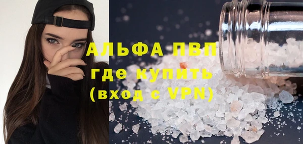 дмт Апатиты
